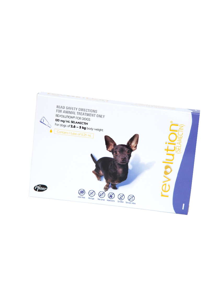 Revolution for Small Dog (Prescription Needed)