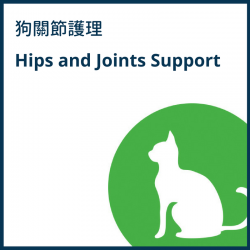 Hips and Joints Support