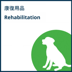 Dog Rehabilitation