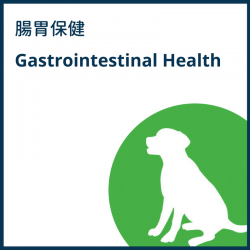 Gastrointestinal Health