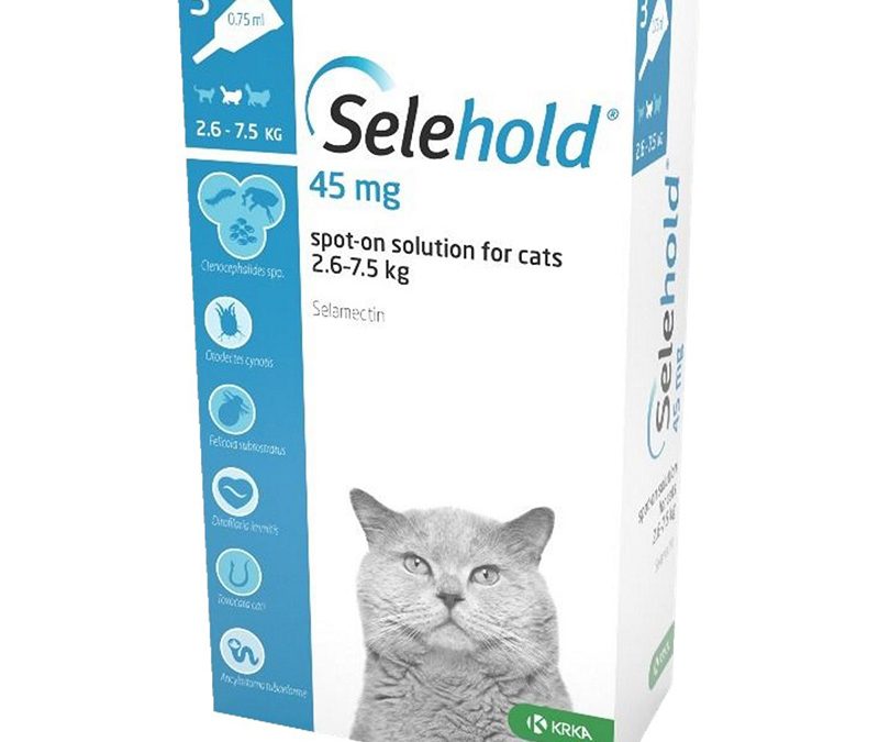 Selehold Cats